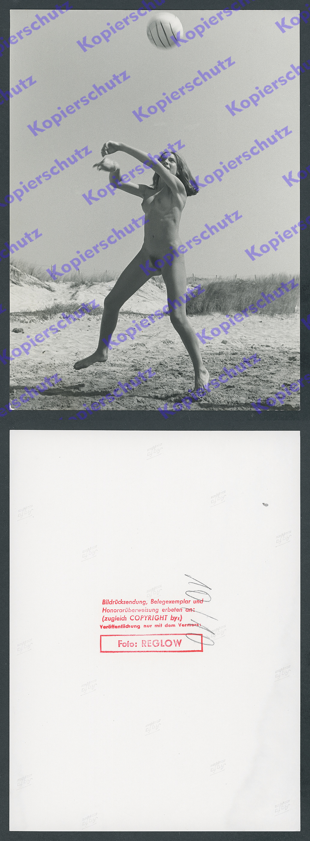 O Foto Akt Frau Athletik Nacktsport Körper Muskeln Fkk Strand Lebensreform 1958 Ebay
